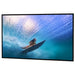 Da-Light | Polacoat Rear Projection Screen (Da-Plex) Da_Lite