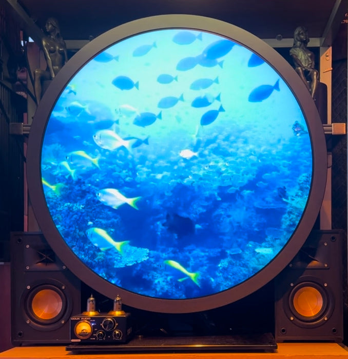 Round Video. Display AVENDOR | 23.6