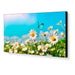 NEC UN462A | 46" Ultra-Narrow Bezel Professional-Grade Display NEC