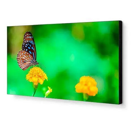 NEC UN492VS | 49" Ultra-Narrow Bezel Professional-Grade Display NEC