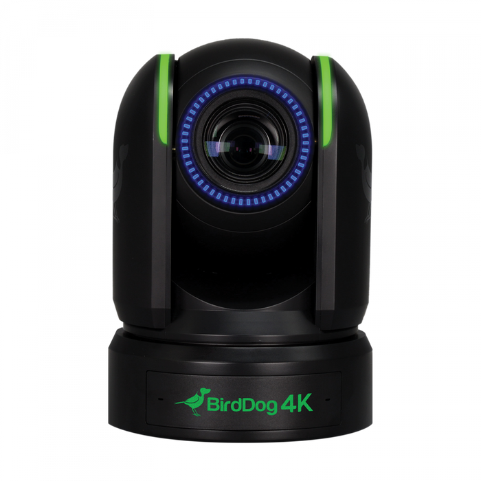 BirdDog BDP4K - P4K Black. 4K 10-Bit Full NDI PTZ with 1" Sony Sensor. Zoom Certified BirdDog