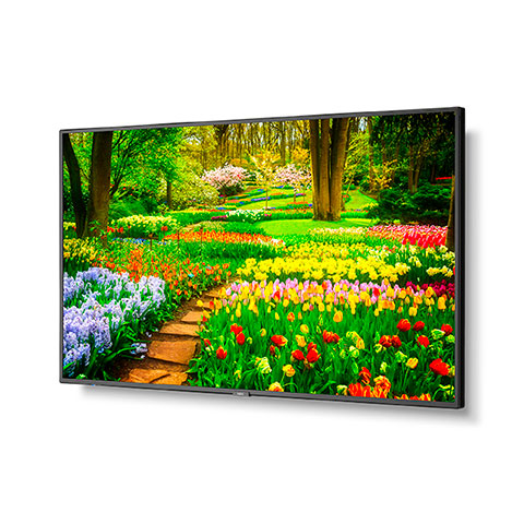 NEC M491-MPI4E | 49" Ultra High Definition Professional Display with integrated SoC MediaPlayer with CMS platform NEC