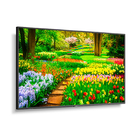 NEC M491 | 49" Ultra High Definition Professional Display NEC