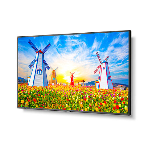 NEC M651 | 65" Ultra High Definition Professional Display NEC