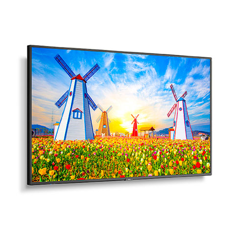 NEC M651 | 65" Ultra High Definition Professional Display NEC