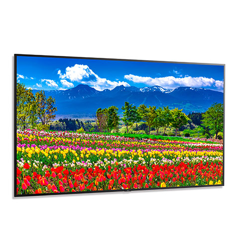 NEC M751-AVT3 - 75" Ultra High Definition Professional Display with ATSC/NTSC Tuner NEC