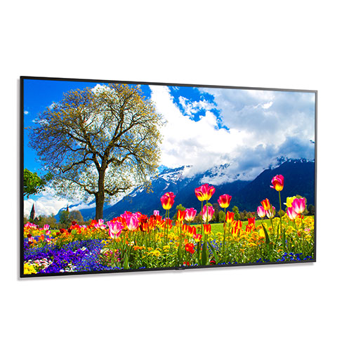 NEC M981 - 98" Ultra High Definition Professional Display NEC