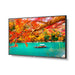 NEC MA431 | 43" Wide Color Gamut Ultra High Definition Professional Display NEC