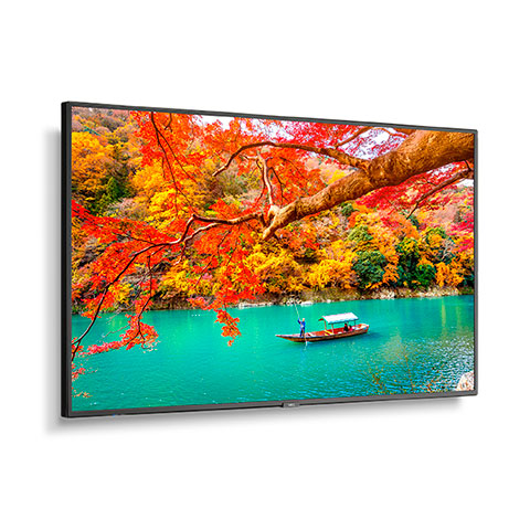 NEC MA431 | 43" Wide Color Gamut Ultra High Definition Professional Display NEC