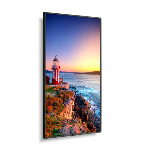 NEC P555  | 55" Wide Color Gamut Ultra High Definition Professional Display NEC