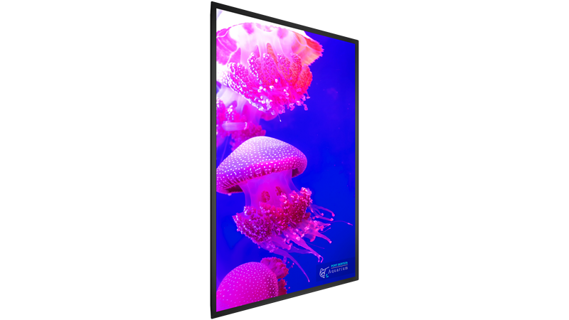 Planar UltraRes X Series | 75" - 100" 4K LCD Displays Planar