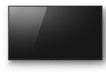 Sony 100­inch BRAVIA 4K Ultra HD HDR Professional Display Sony